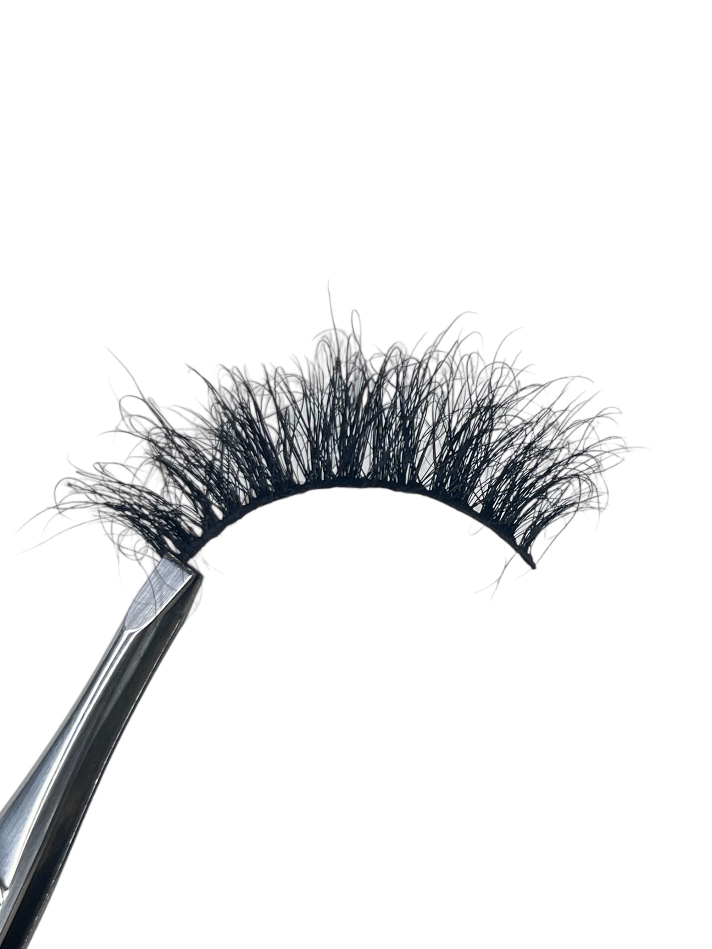 Tanager - Birds in Paradise Eyelashes