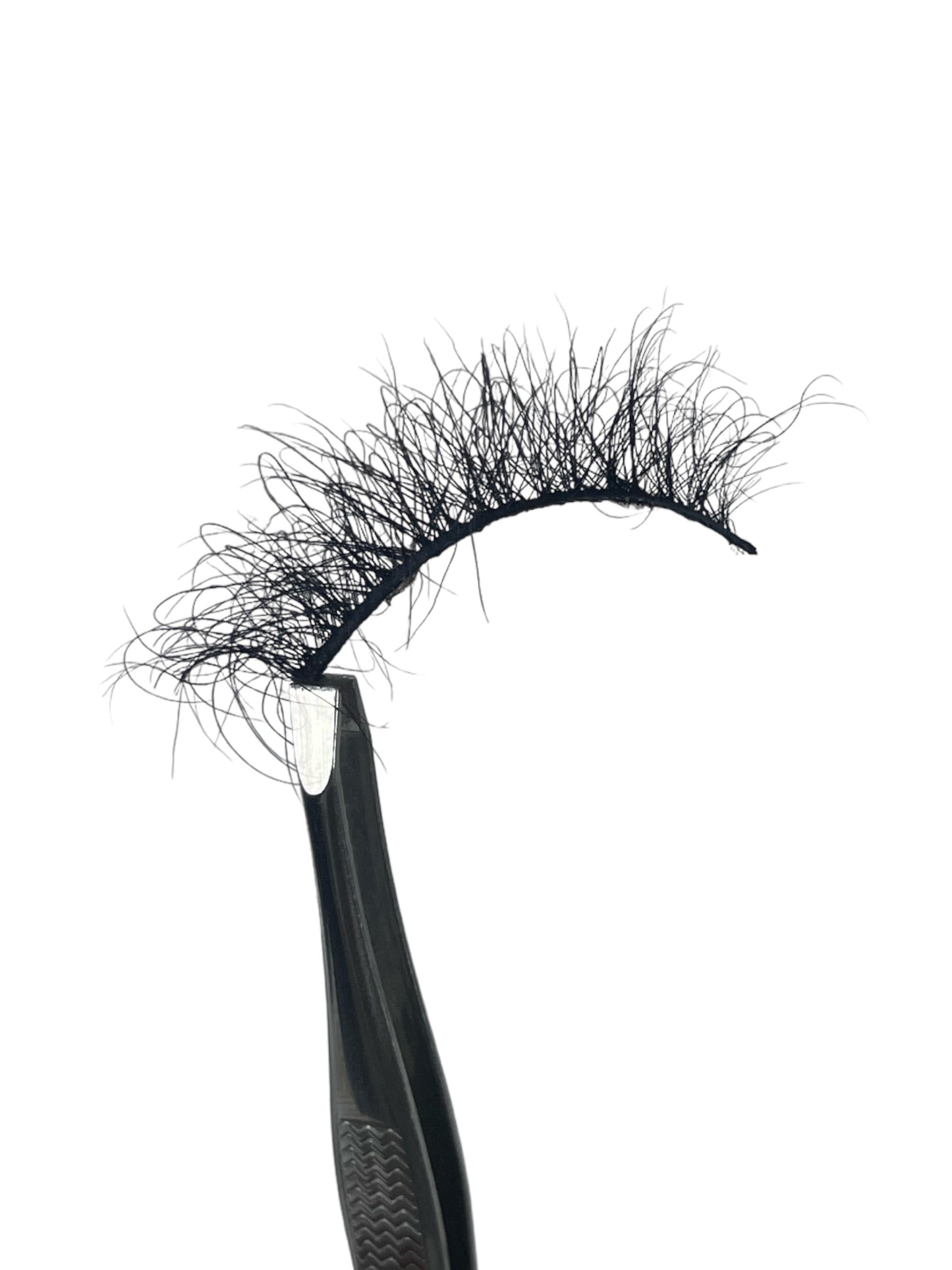 Tropicbird - Birds in Paradise Eyelashes