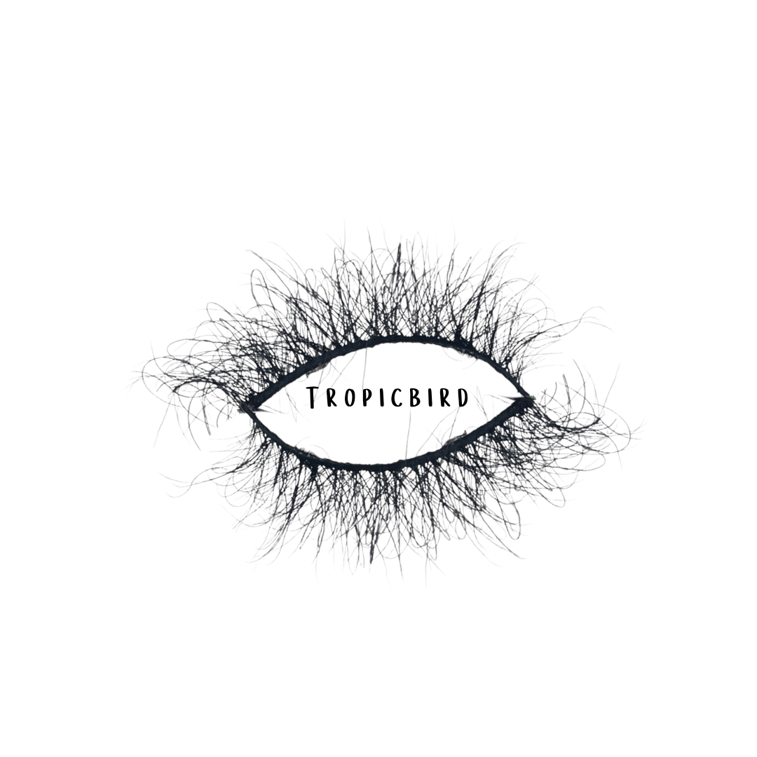 Tropicbird birds in paradise eyelashes tobaglo cosmetics ltd 